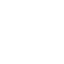 Our Global Footprint icon